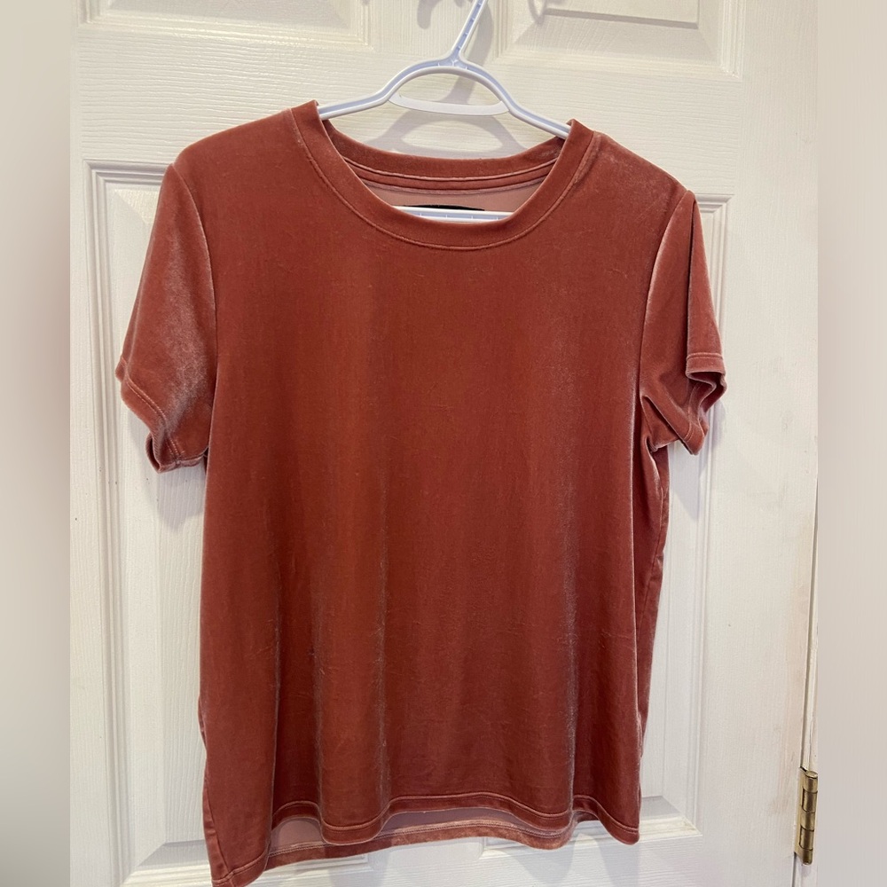 Beautiful Abercrombie and Fitch Dusty Rose Velour Style Short Sleeve Top Size S